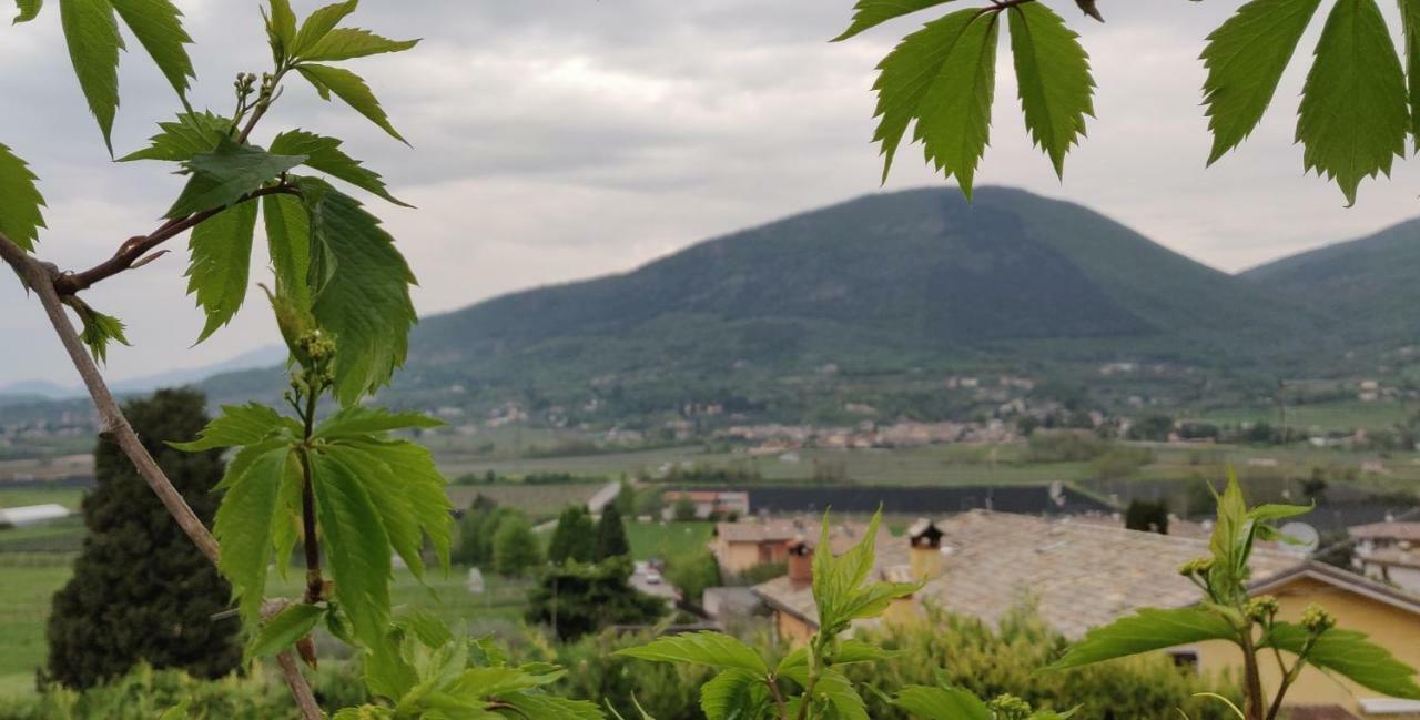 Giardino Degli Ulivi Leilighet Caprino Veronese Eksteriør bilde